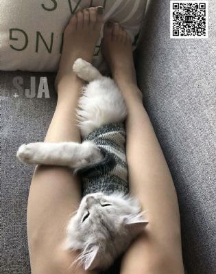 酒醉的玫瑰在线观看