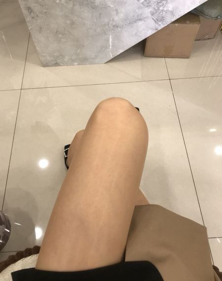 属兔