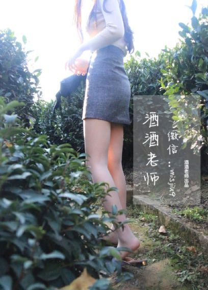 鹤唳华亭剧情介绍