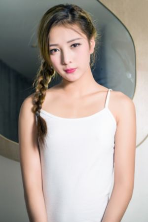 图腾领域第二季